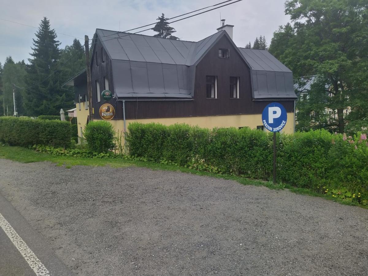 Penzion Borovice Josefův Důl Eksteriør bilde